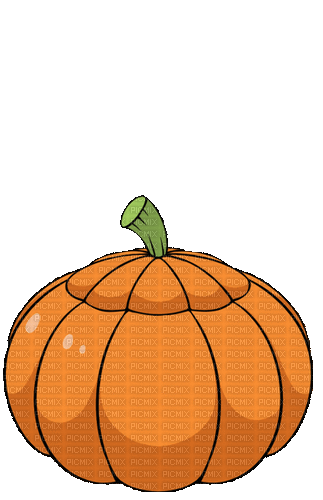 Pumpkin Cat Gif - Bogusia - GIF animé gratuit