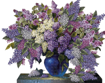 fiori viola-lila blommor-purple flowers-fleurs violettes-minou52 - bezmaksas png