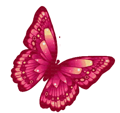 rainbow butterfly - Ilmainen animoitu GIF