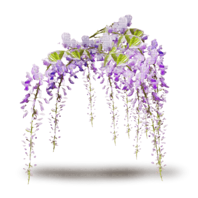 Kaz_Creations Garden Deco Flowers - PNG gratuit