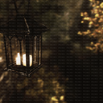 autumn fall gif - 免费动画 GIF