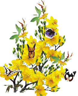 FLOWERS - Безплатен анимиран GIF