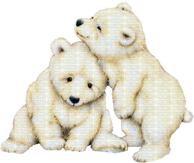 Eisbären - GIF animé gratuit