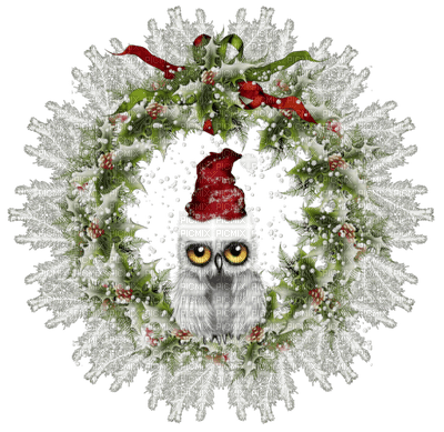 Christmas birds bp - Free PNG