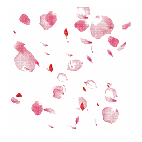 Flowers ❤️ elizamio - 無料png