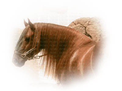 caballo by EstrellaCristal - zdarma png
