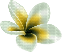 Kaz_Creations Deco Flowers Flower Colours - 免费PNG
