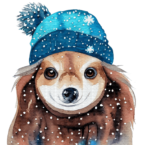 kikkapink watercolor cute animal winter dog - PNG gratuit