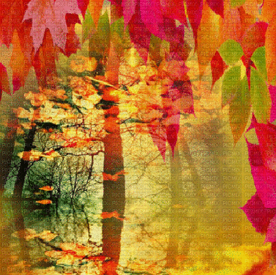 autumn forest bg automne fond foret - Free animated GIF
