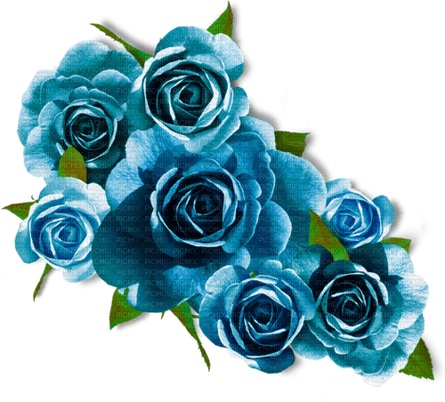Roses.Blue - PNG gratuit