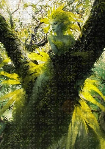 fantasy forest laurachan - бесплатно png