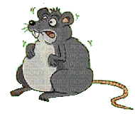 rat - GIF animé gratuit