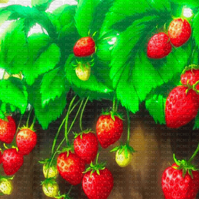 Y.A.M._Summer Strawberry background - 無料png