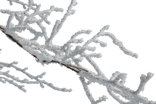 winter snow branch tree - Free PNG