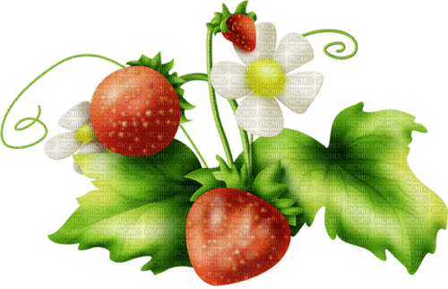 strawberries Bb2 - gratis png