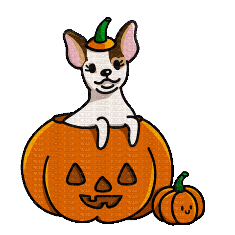 Pumpkin Dog - Besplatni animirani GIF