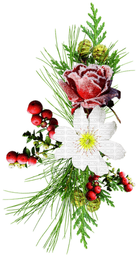 Christmas.Winter.Cluster.White.Green.Red - bezmaksas png