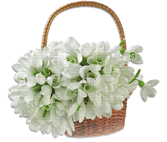 soave deco flowers spring snowdrops basket - 免费PNG