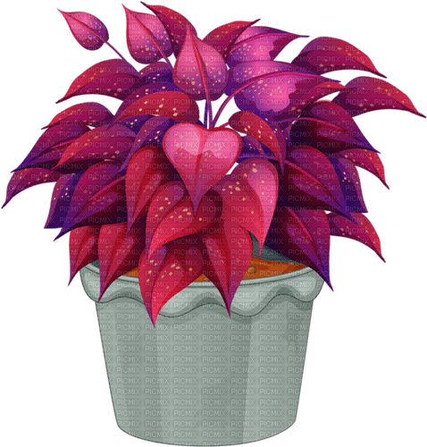 red house plant Bb2 - Free PNG