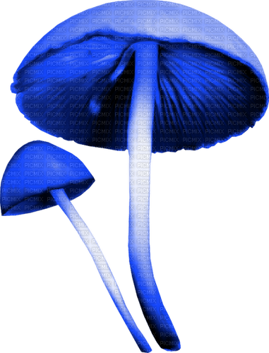 Mushrooms.Blue - gratis png