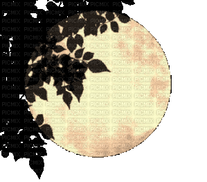 Луна - Animovaný GIF zadarmo