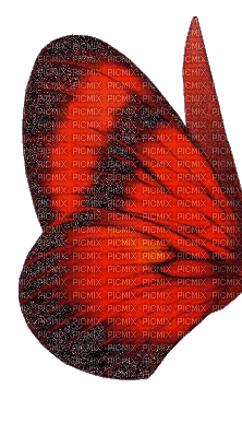 крылья - Gratis geanimeerde GIF