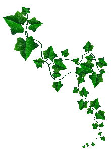 Ivy green plant deco gif (created with gimp) - GIF animado gratis
