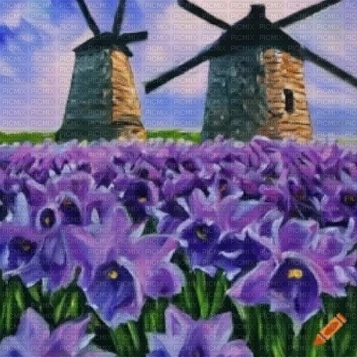 Windmills and Purple Daffodils - nemokama png