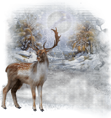 Landscape Winter - Bogusia - PNG gratuit