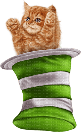 st. Patrick  cat  by nataliplus - 免费PNG