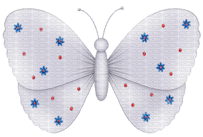gif borboleta - GIF animado grátis