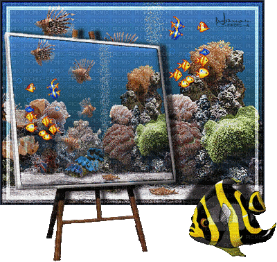 fond beach sea underwater fish - Animovaný GIF zadarmo