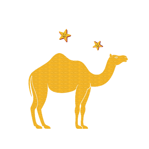 Camel Oman - GIF animate gratis