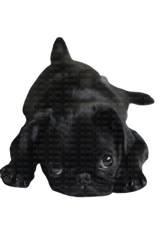 dog chien hund animal tube hunde dogs chiens animals animaux mignon black - 免费PNG