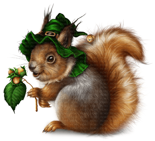 st. Patrick squirrel  by nataliplus - бесплатно png