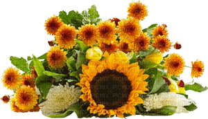 sunflowers  bp - png gratuito