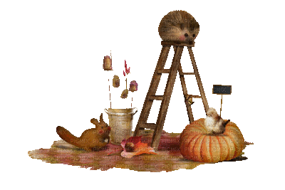 autumn (created with gimp) - Gratis animerad GIF