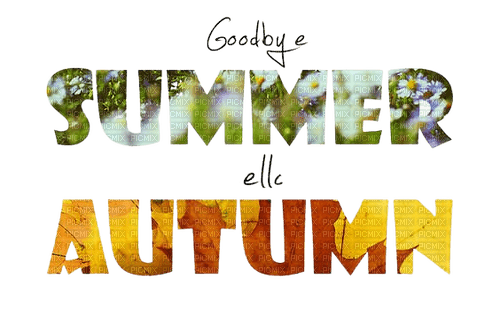 loly33 texte Goodbye summer - png gratis
