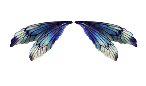 blue fairy wings2 - gratis png