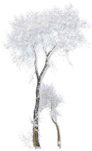 Árbol en invierno - ilmainen png