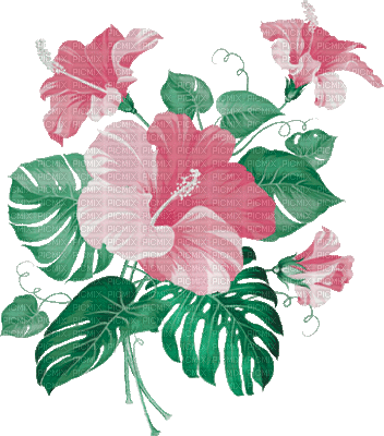 soave deco summer animated flowers tropical branch - 免费动画 GIF