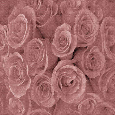 Kaz_Creations Deco Flowers  Backgrounds Background Colours - Free animated GIF