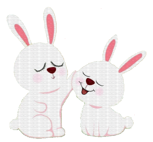 nbl-rabbit - Nemokamas animacinis gif