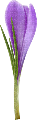Kaz_Creations Deco Flowers Flower  Purple - png gratis