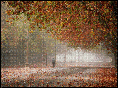 Paysage.Automne.Rain.Victoriabea - Darmowy animowany GIF