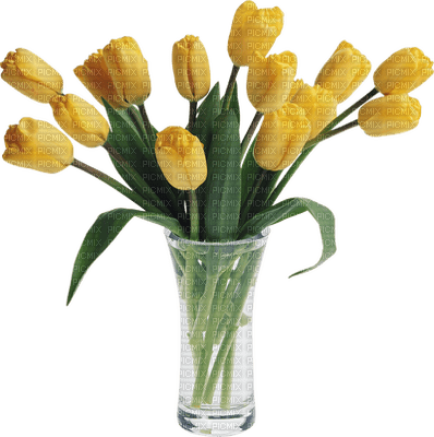 minou-yellow tulips-tulipes jaunes-tulipani gialli-gula Tulpaner-flowers-deco - Free PNG