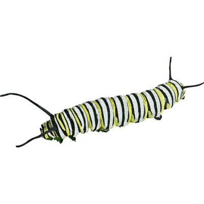 caterpiller - zadarmo png