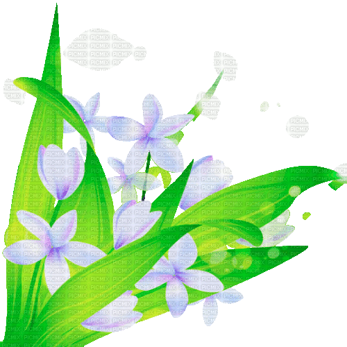Y.A.M._Spring Flowers Decor - Bezmaksas animēts GIF