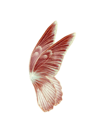 deco fantasy wings png tube kikkapink  glitter - png gratis
