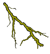 Thunder & Lightning - Jitter.Bug.Girl - GIF animate gratis